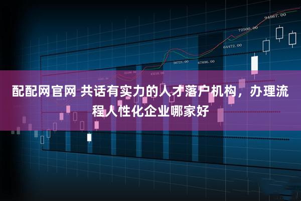 配配网官网 共话有实力的人才落户机构，办理流程人性化企业哪家好
