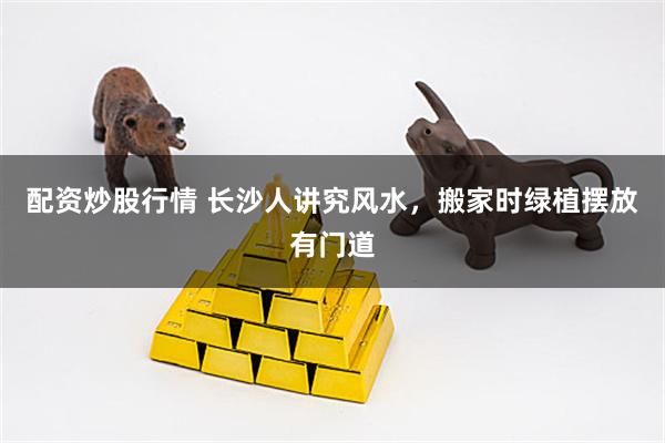 配资炒股行情 长沙人讲究风水，搬家时绿植摆放有门道